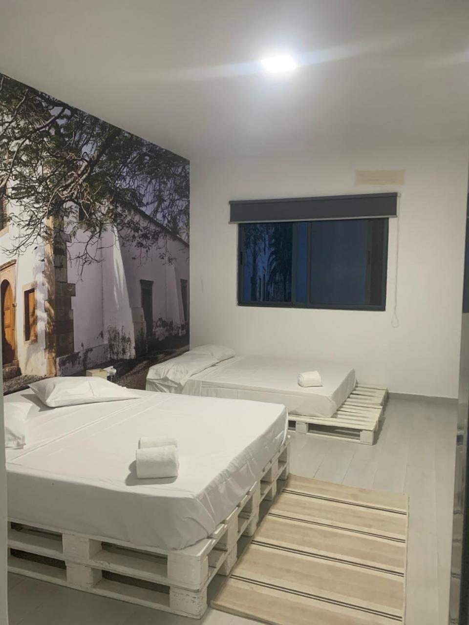Cidade VelhaPalmira House公寓 外观 照片